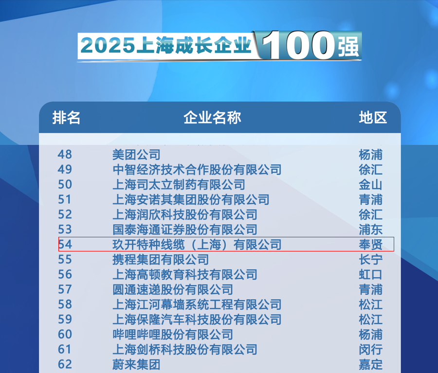 聚焦2025上海百强宣布会：南宫NG28特种线缆登榜生长企业100强